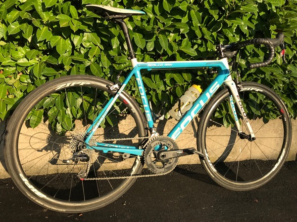 Focus - Izalco Max