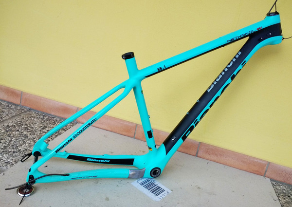 Bianchi - Methanol CV 9.1