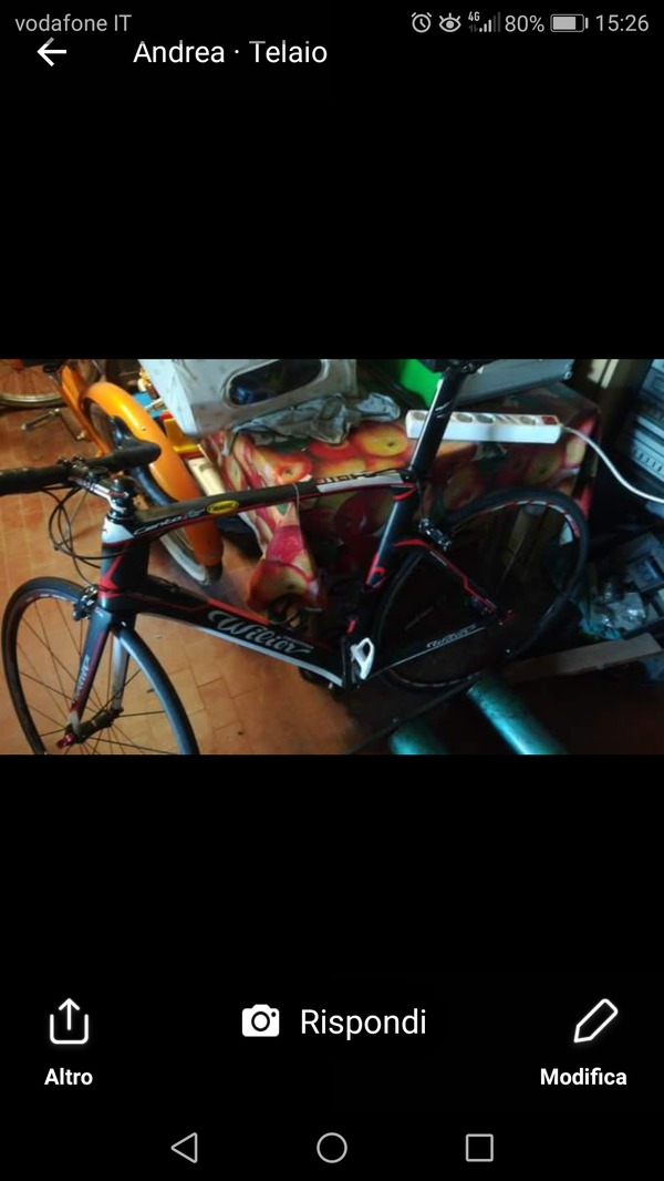 Wilier - 101 aie