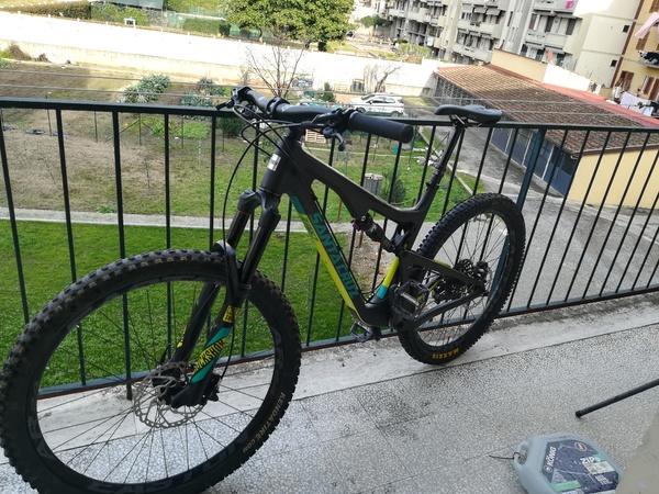 Santa Cruz - 5010 c