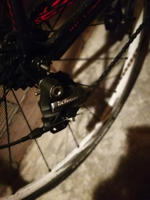 Specialized - Roubaix