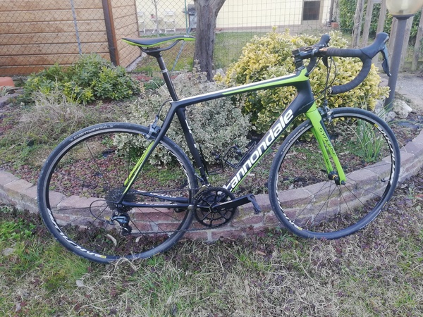 Cannondale - SYNAPSE