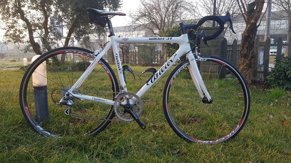 Wilier - MORTIROLO TG 54 CENTAUR 10V FULCRUM R7
