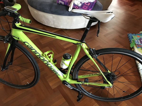 Cannondale - Synapse in carbonio
