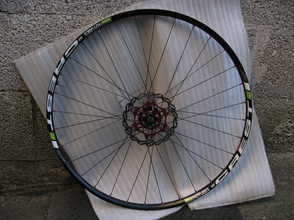 Ztr - crest