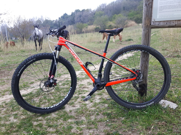 Specialized - Stumpjumper HT Comp Carbon