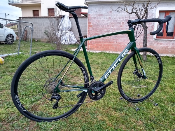 Focus - Paralane 105 Racing Green