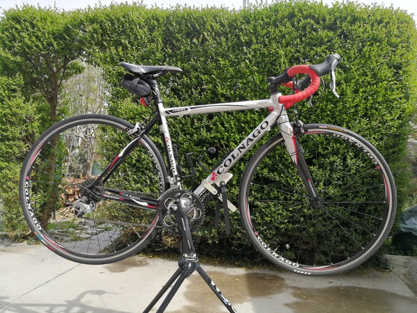 Colnago - Prima