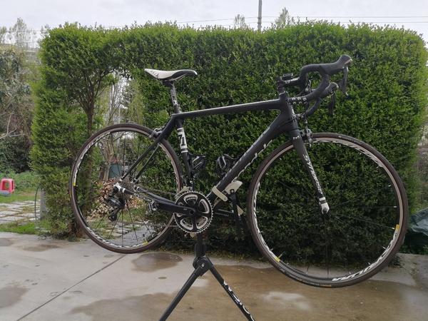 Cannondale - Synapse