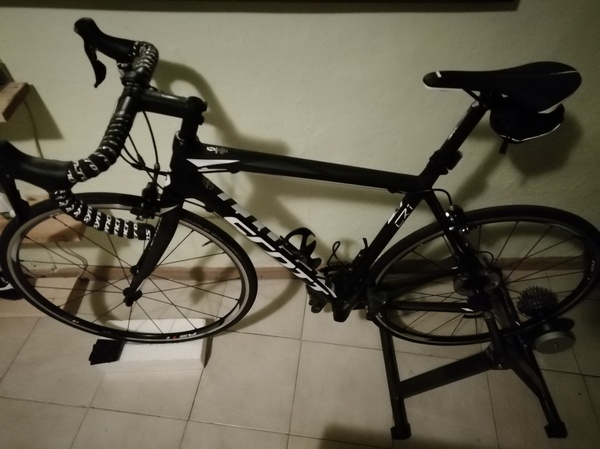 Scott - CR1