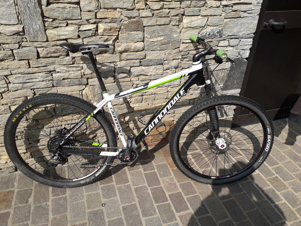 Cannondale - F29 carbon1