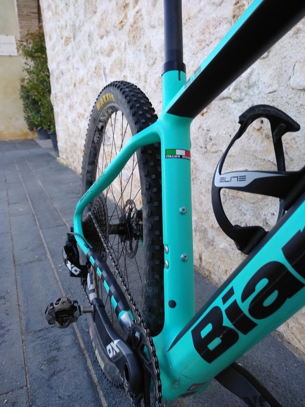 Bianchi - Methanol CV