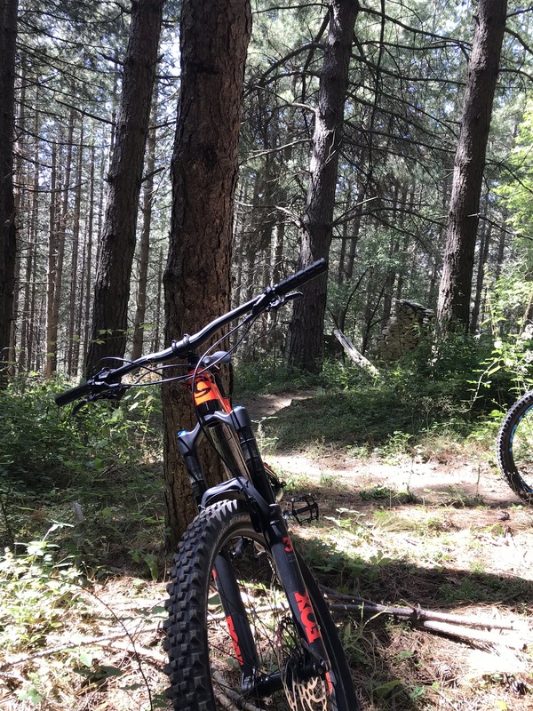 Cannondale - Jekyll carbon 3 modello 2018