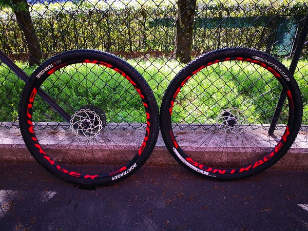 CTK LIGHT - ryde trace xc