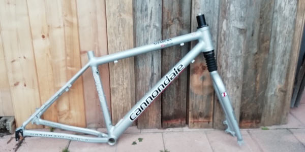 Cannondale - team