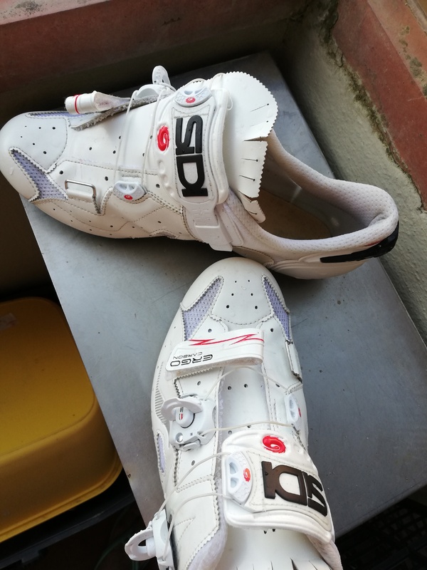 SIDI - SIDI Ergo 4 Carbon lucido