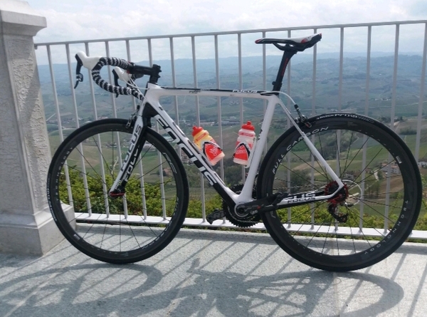 Focus - Izalco