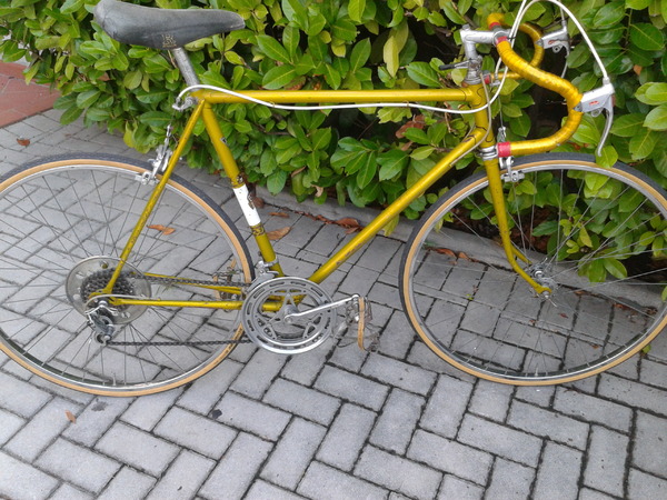 Pinarello -