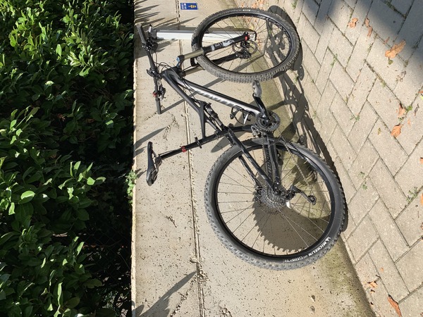 Specialized - Camber Comp Carbon