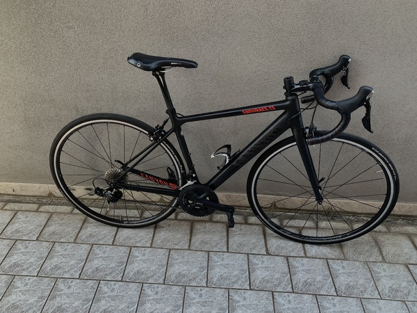 Canyon - Endurace CF Carbon