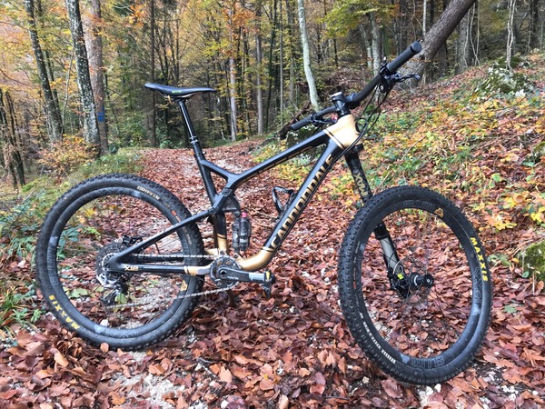 Cannondale - Trigger Carbon 1