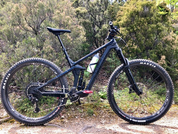 Canyon - Canyon Strive CF 6.0 2019