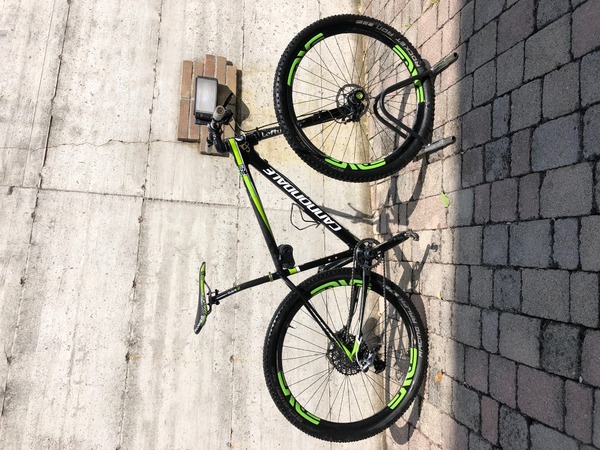 Cannondale - fsi team