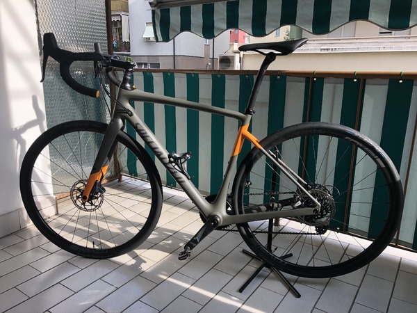 Specialized - Diverge expert carbon men