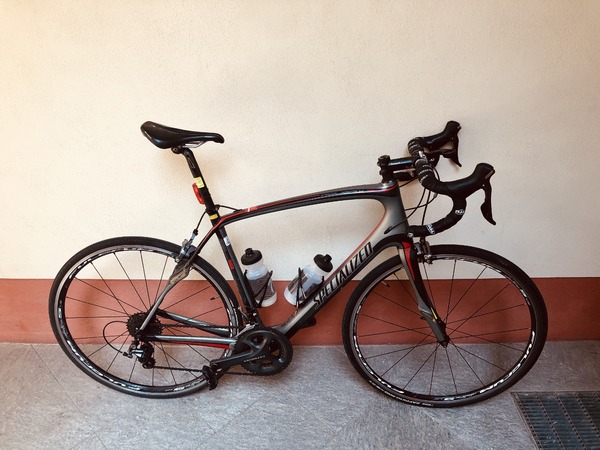 Specialized - Roubaix