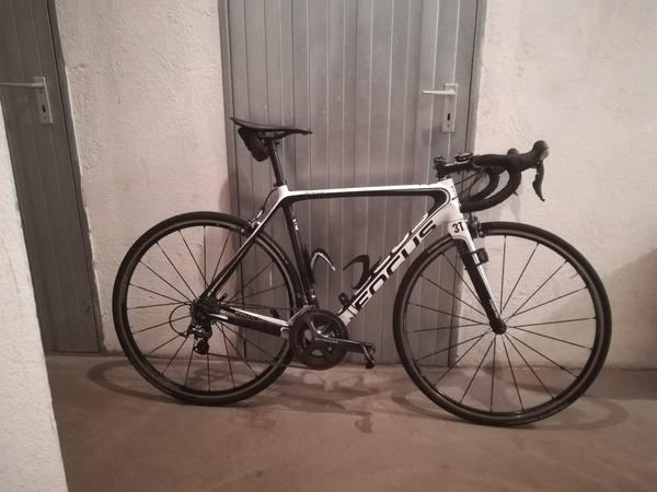 Focus - izalco