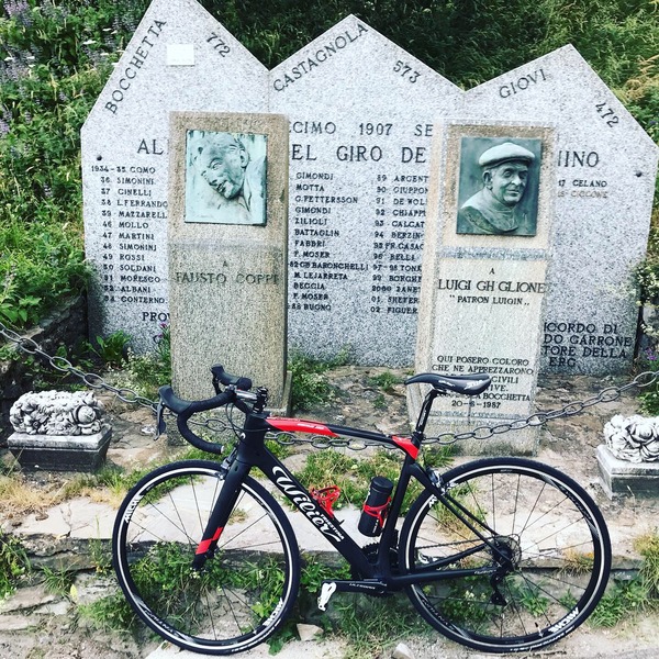 Wilier - 101NDR