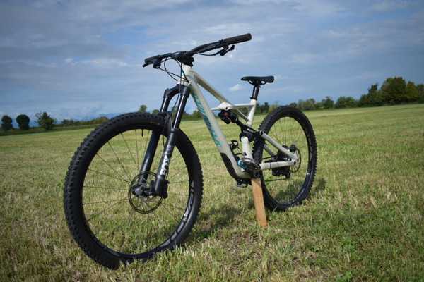 Specialized - Enduro Elite Carbon 29
