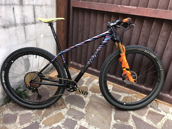 Specialized - EPIC HT S WORKS