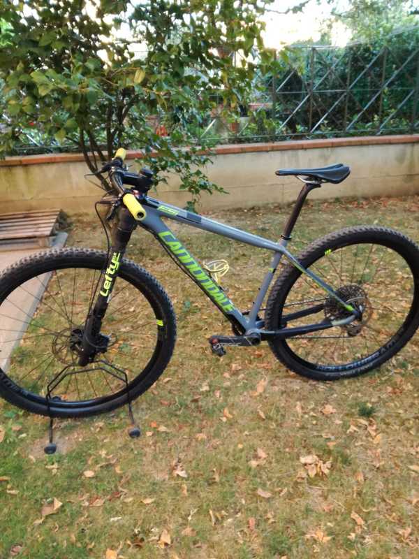 Cannondale - FSI Carbon Team