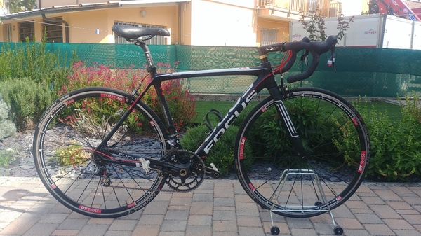 Focus - Izalco