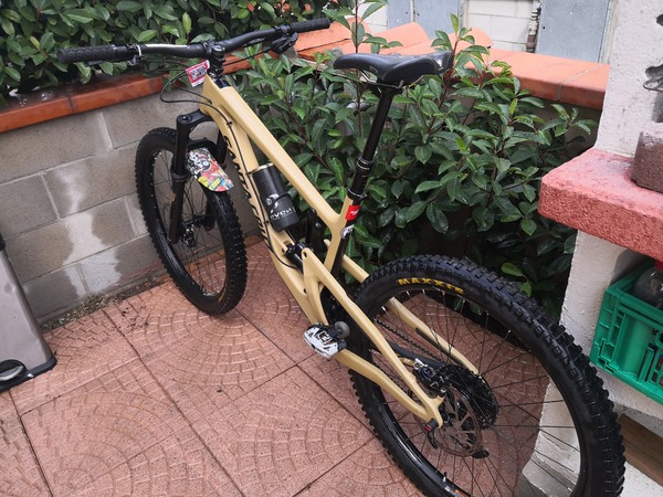 Santa Cruz - Nomad 4