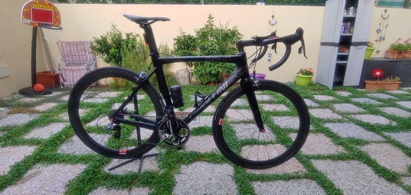 Cipollini - Bond