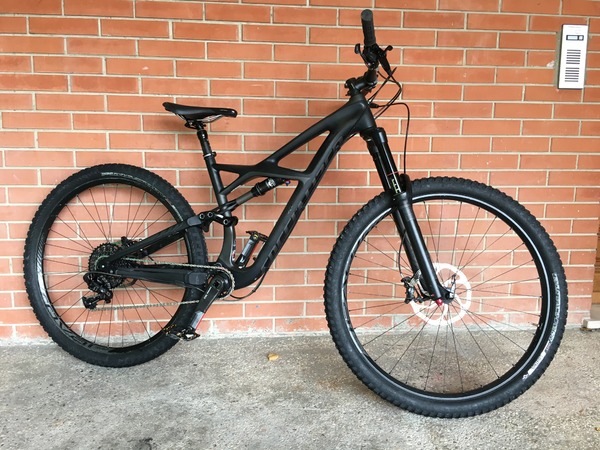 Specialized - Enduro FSR Expert Carbon 29
