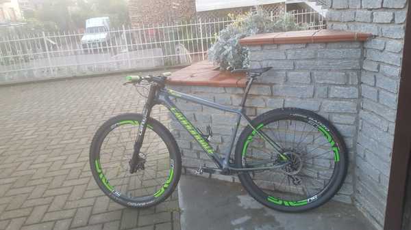 Cannondale - FSI TEAM