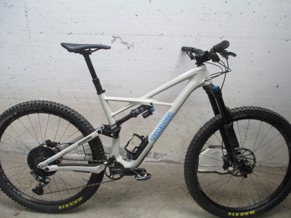 specialized enduro elite carbon 29 2019