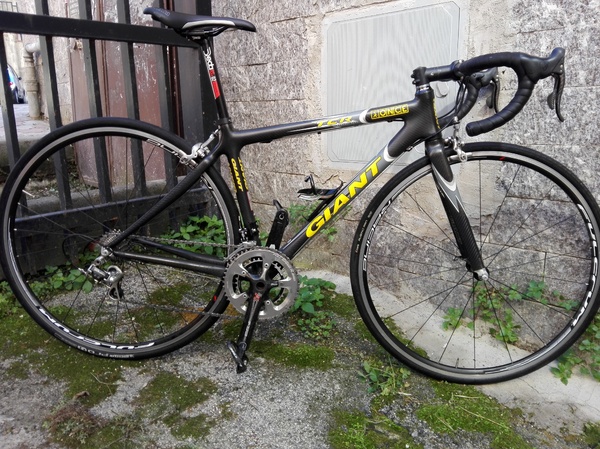Giant - tcr advance