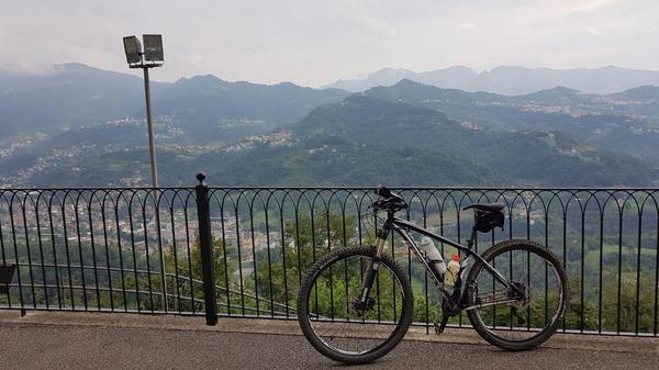 Specialized - crave comp 29