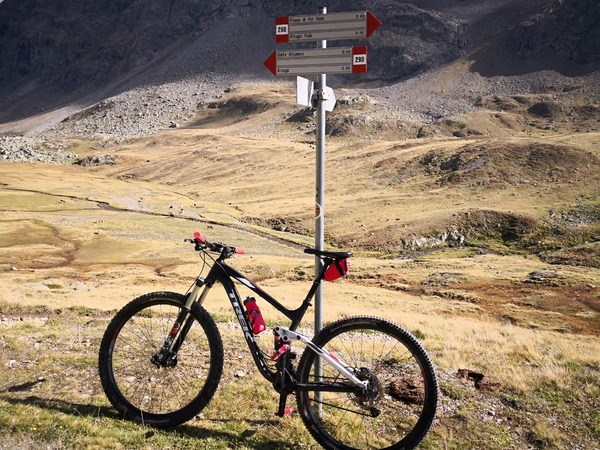 Trek - Fuel Ex 8