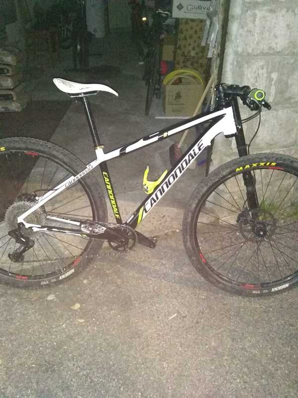Cannondale - Lefty 29