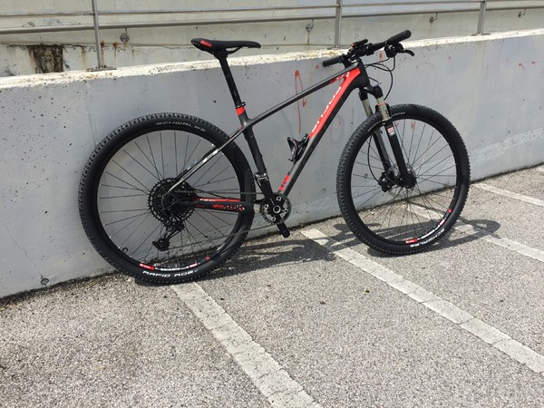 Focus - Raven 29R