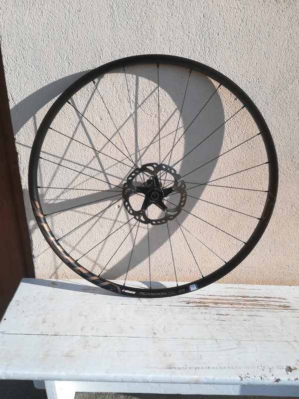 Vittoria - Reaxcion SL