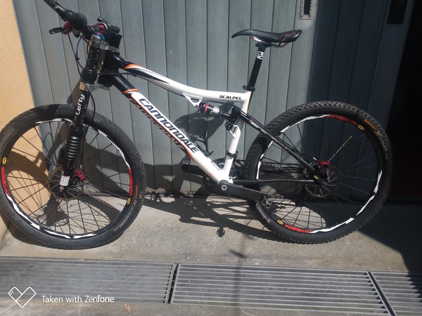 Cannondale - CANNONDALE SCALPEL