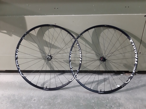 altra - RUOTE 29 CYPWHEELS SL RACE 24 MM INTERNO