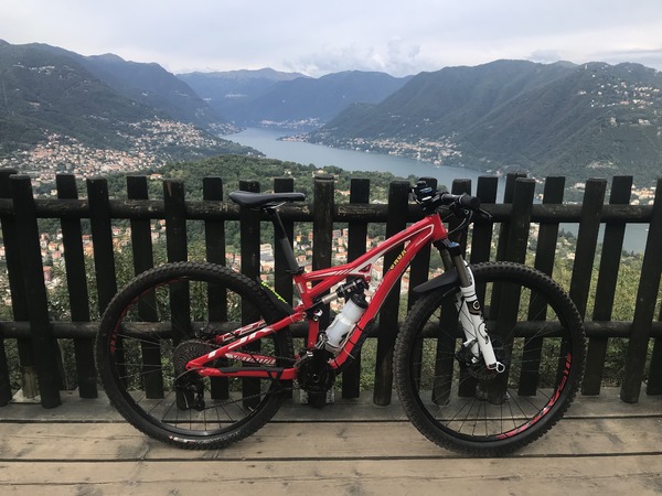 Specialized - camber comp fsr