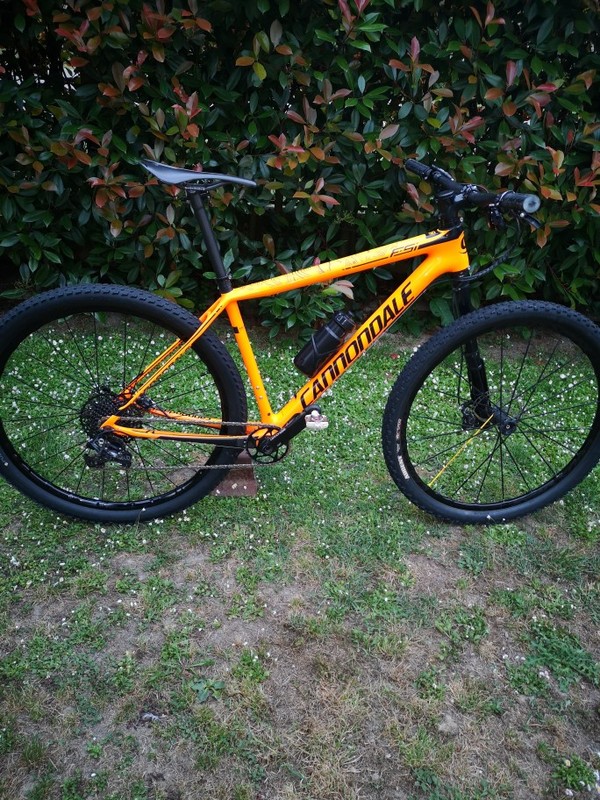 Cannondale - FS I Carbon 2